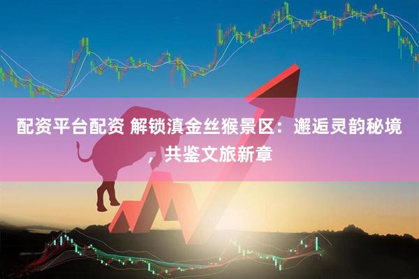 配资平台配资 解锁滇金丝猴景区：邂逅灵韵秘境，共鉴文旅新章