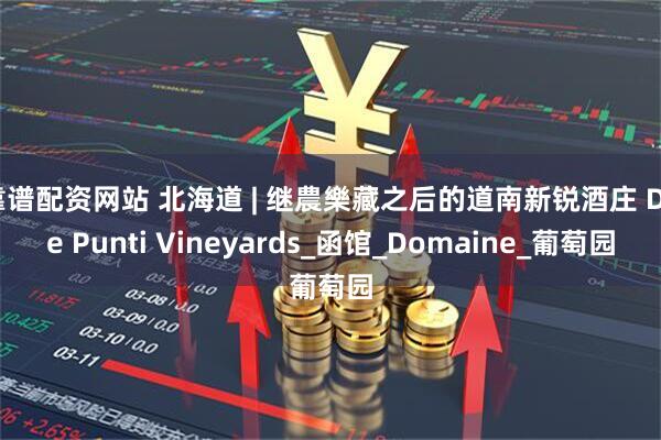 靠谱配资网站 北海道 | 继農樂藏之后的道南新锐酒庄 Due Punti Vineyards_函馆_Domaine_葡萄园